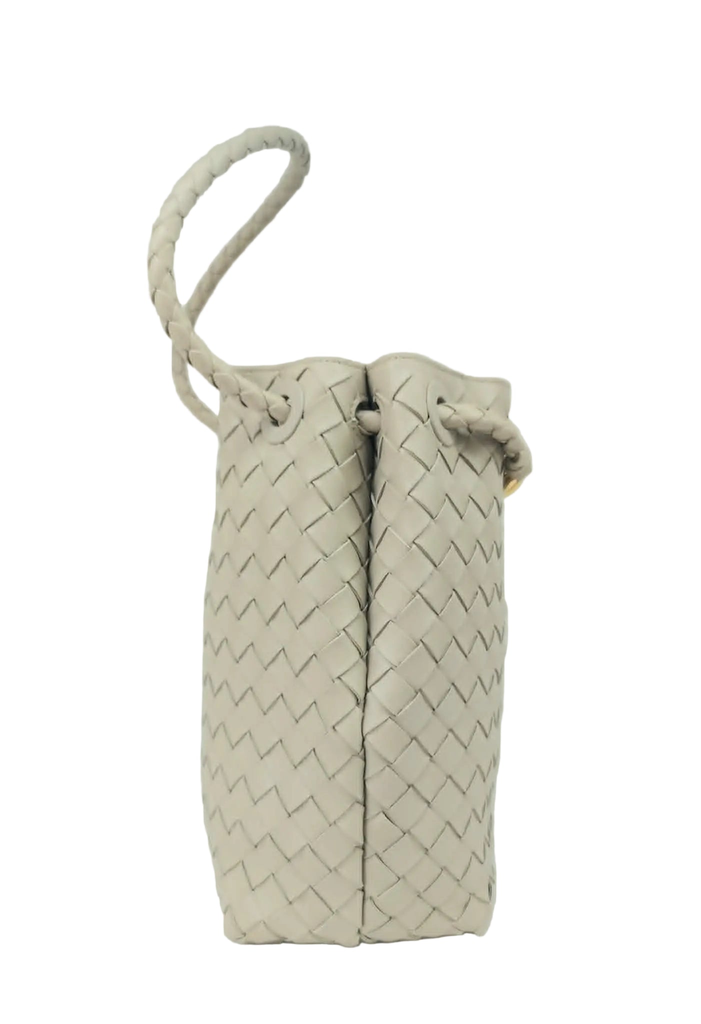 BOTTEGA VENETA ANDIAMO BUCKET