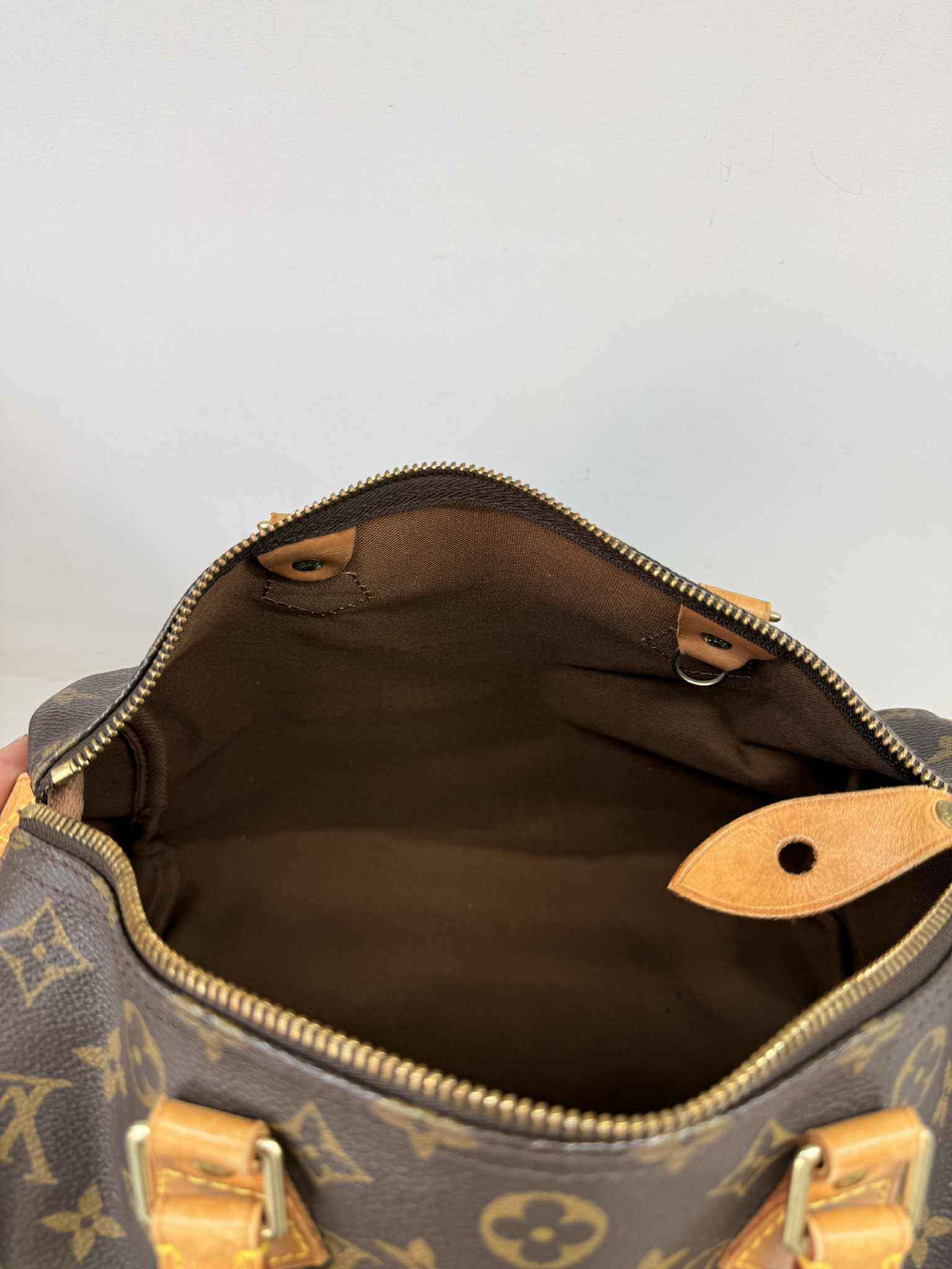 LOUIS VUITTON SPEEDY 30 Mono