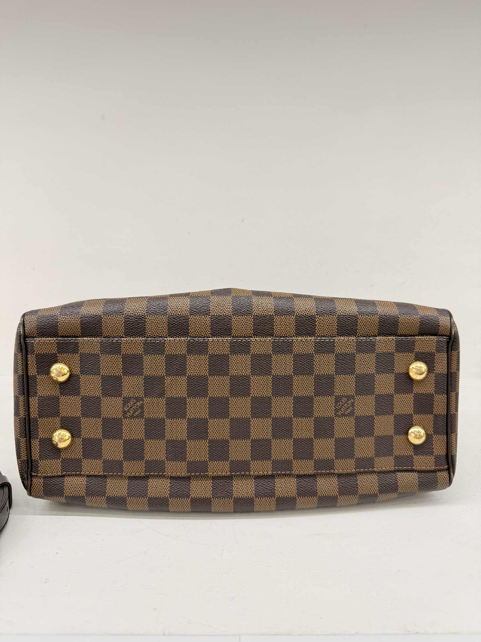 LOUIS VUITTON TREVI PM