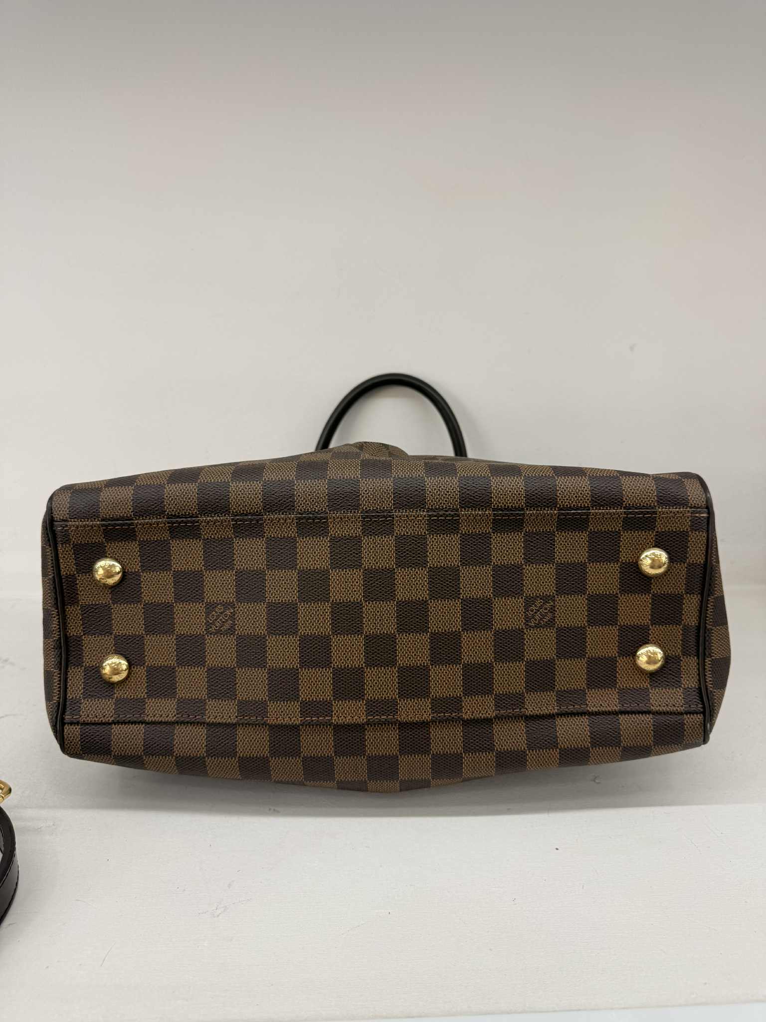 LOUIS VUITTON TREVI PM