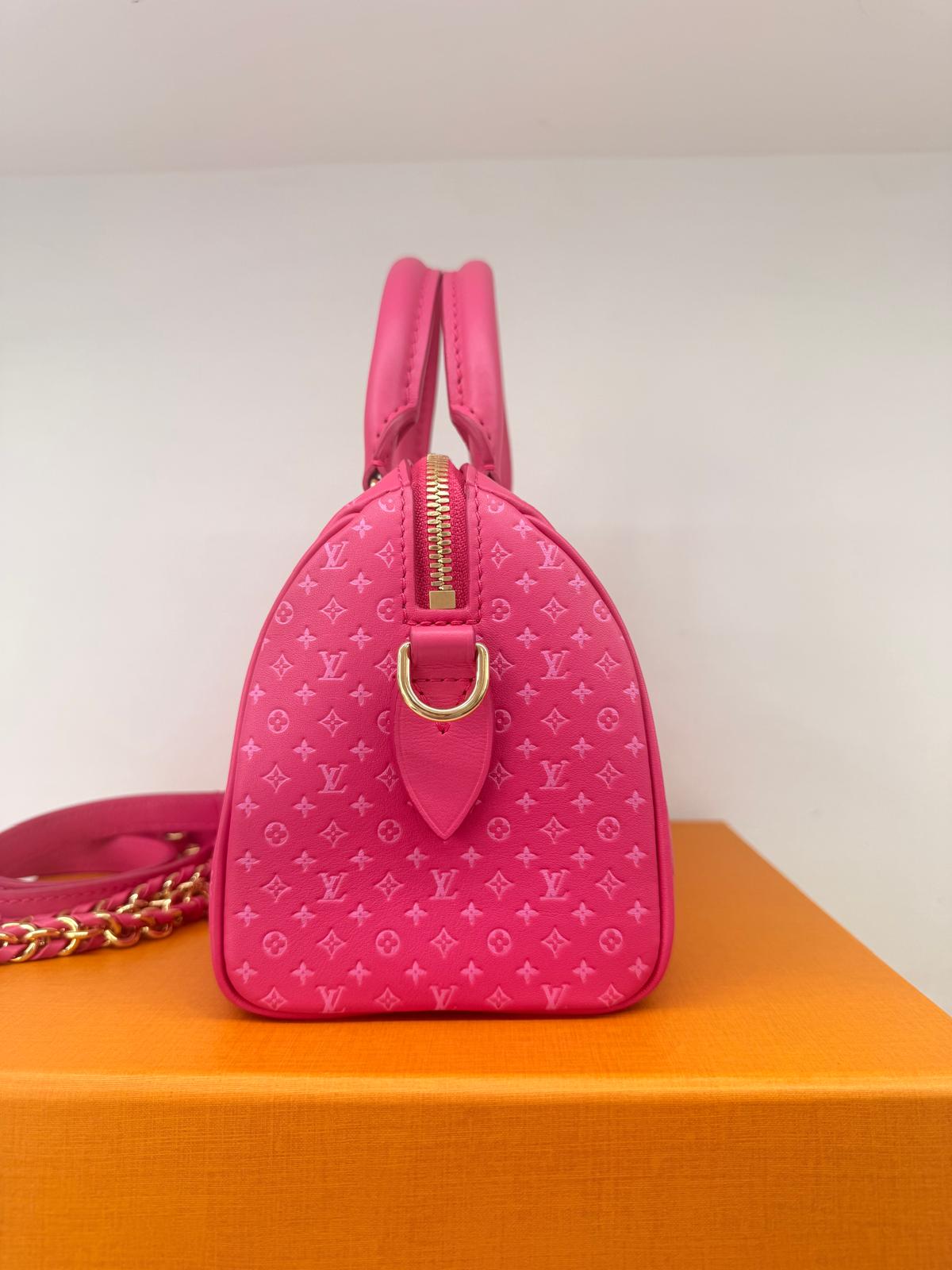 Louis Vuitton Speedy 20 bandouliere