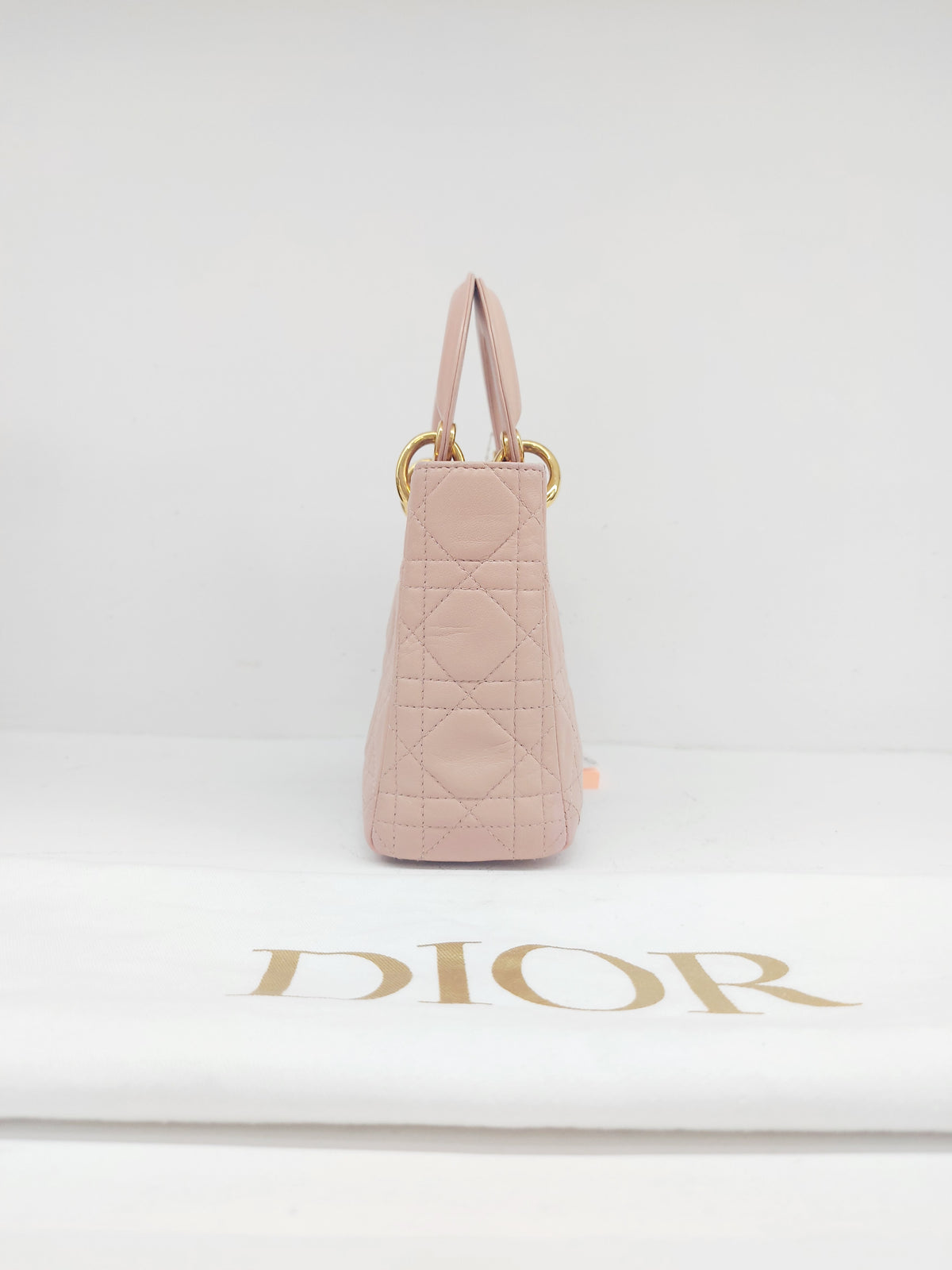 Christian Dior Lady Dior Mini
