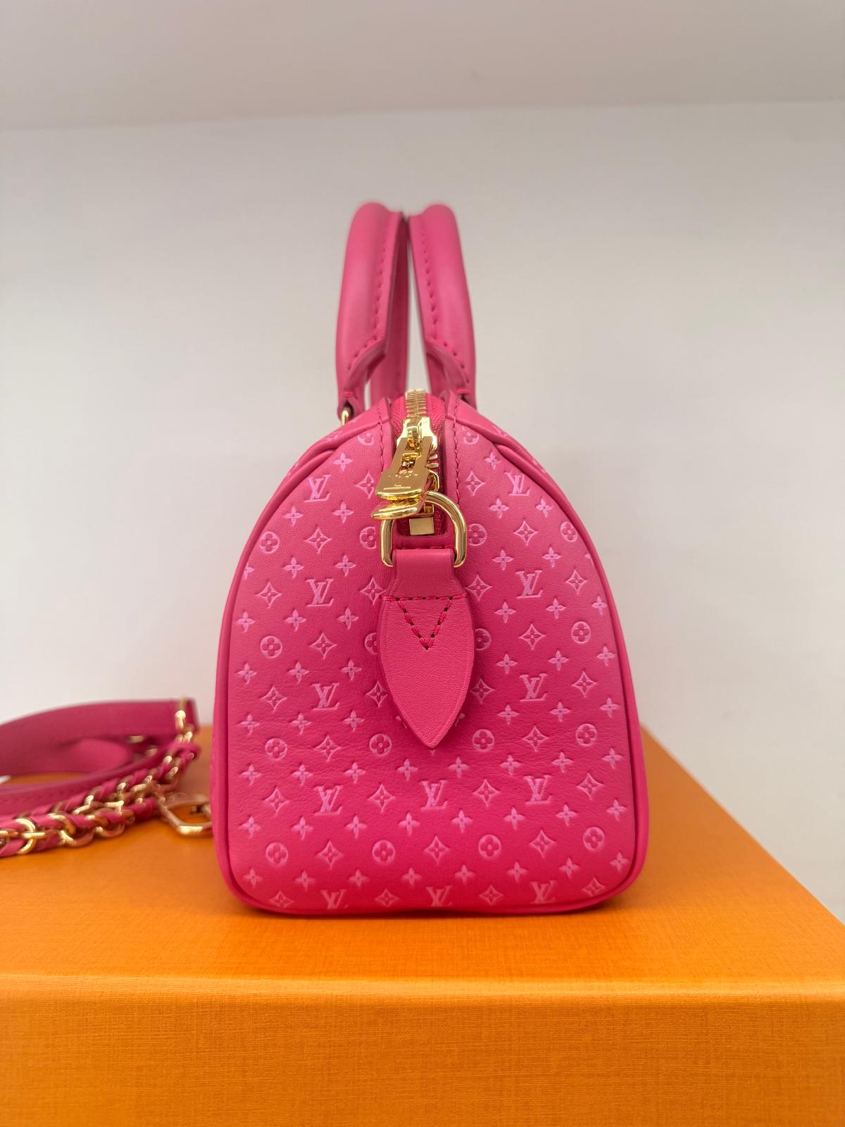 Louis Vuitton Speedy 20 bandouliere
