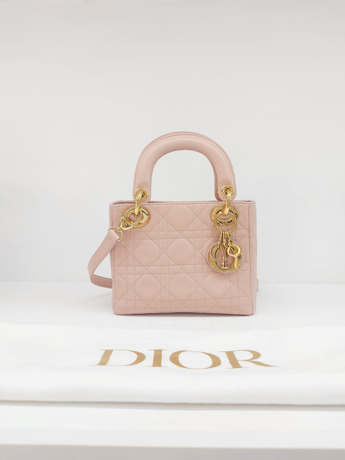 Christian Dior Lady Dior Mini