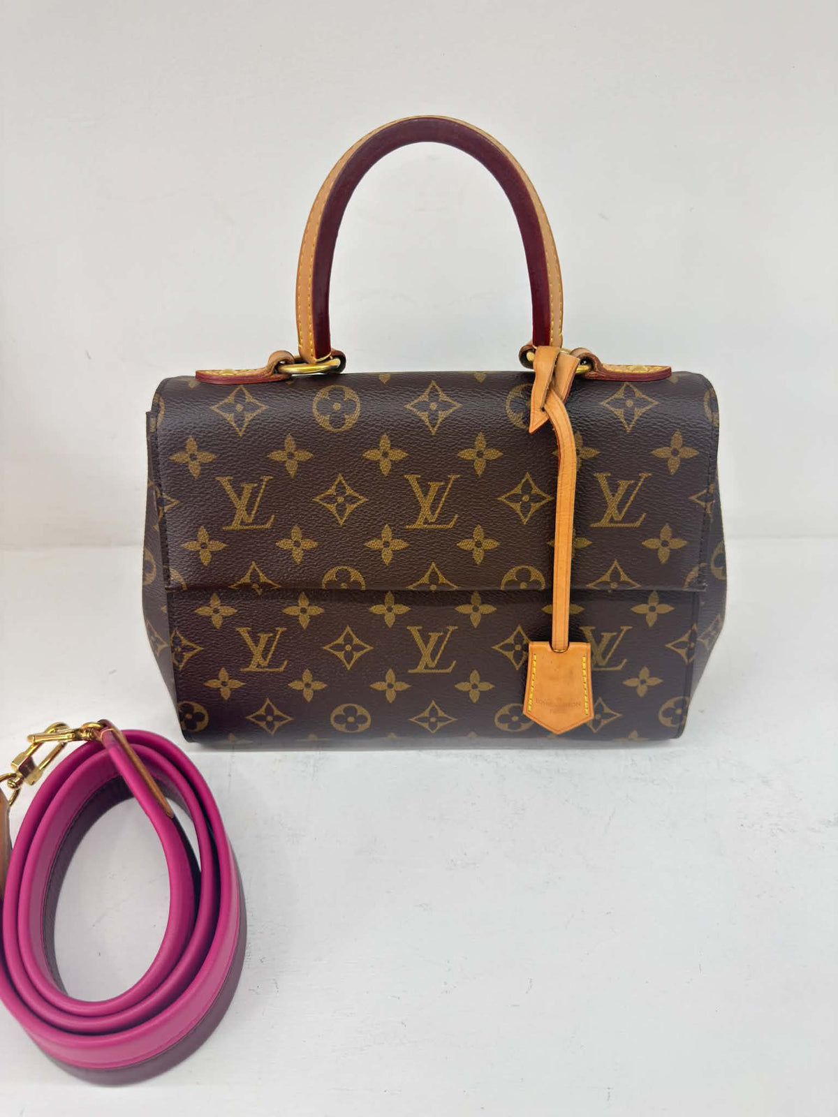LOUIS VUITTON CLUNEY PM