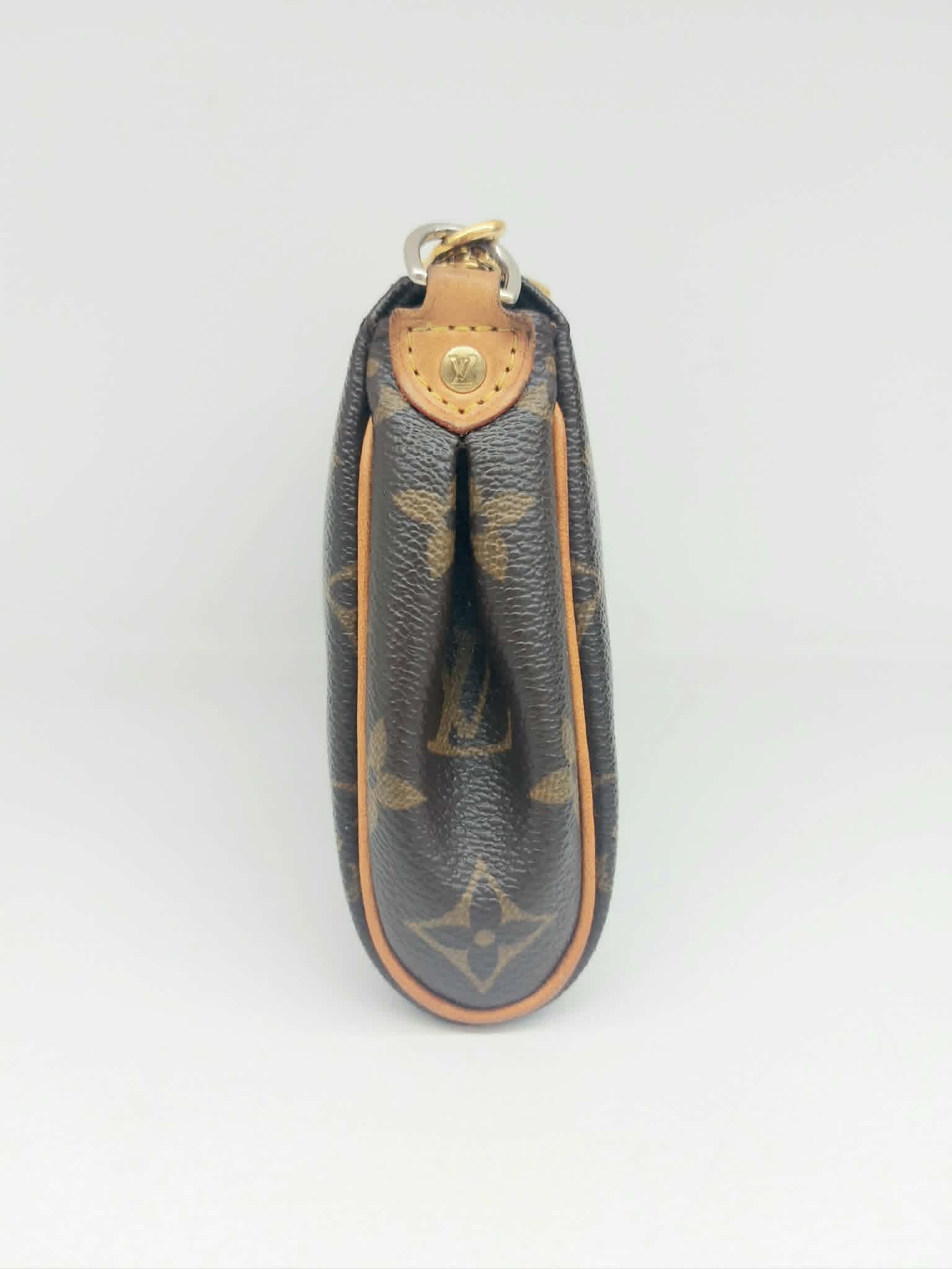 LOUIS VUITTON EVA