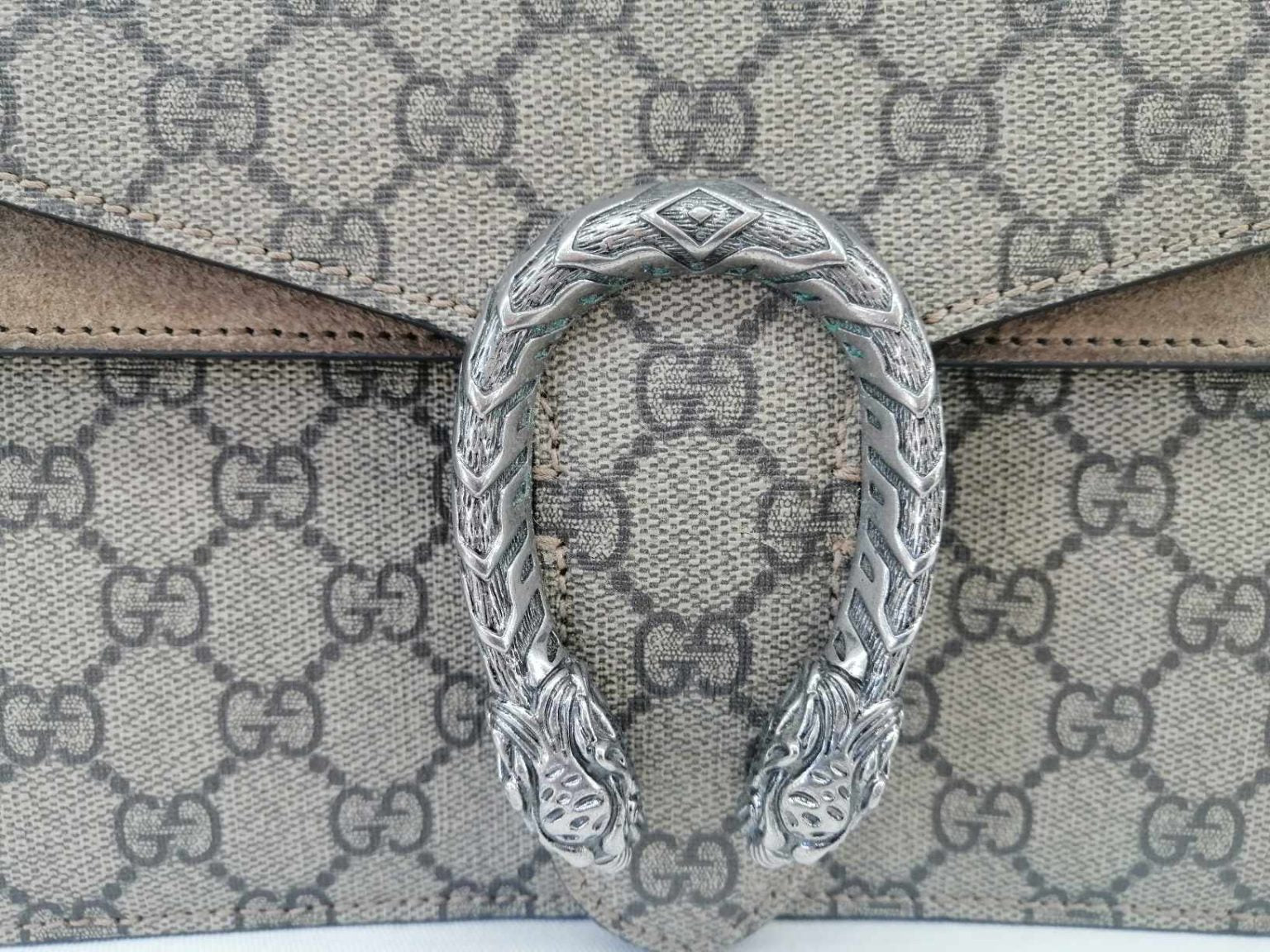 Gucci Dionysus Medium Profili Beige