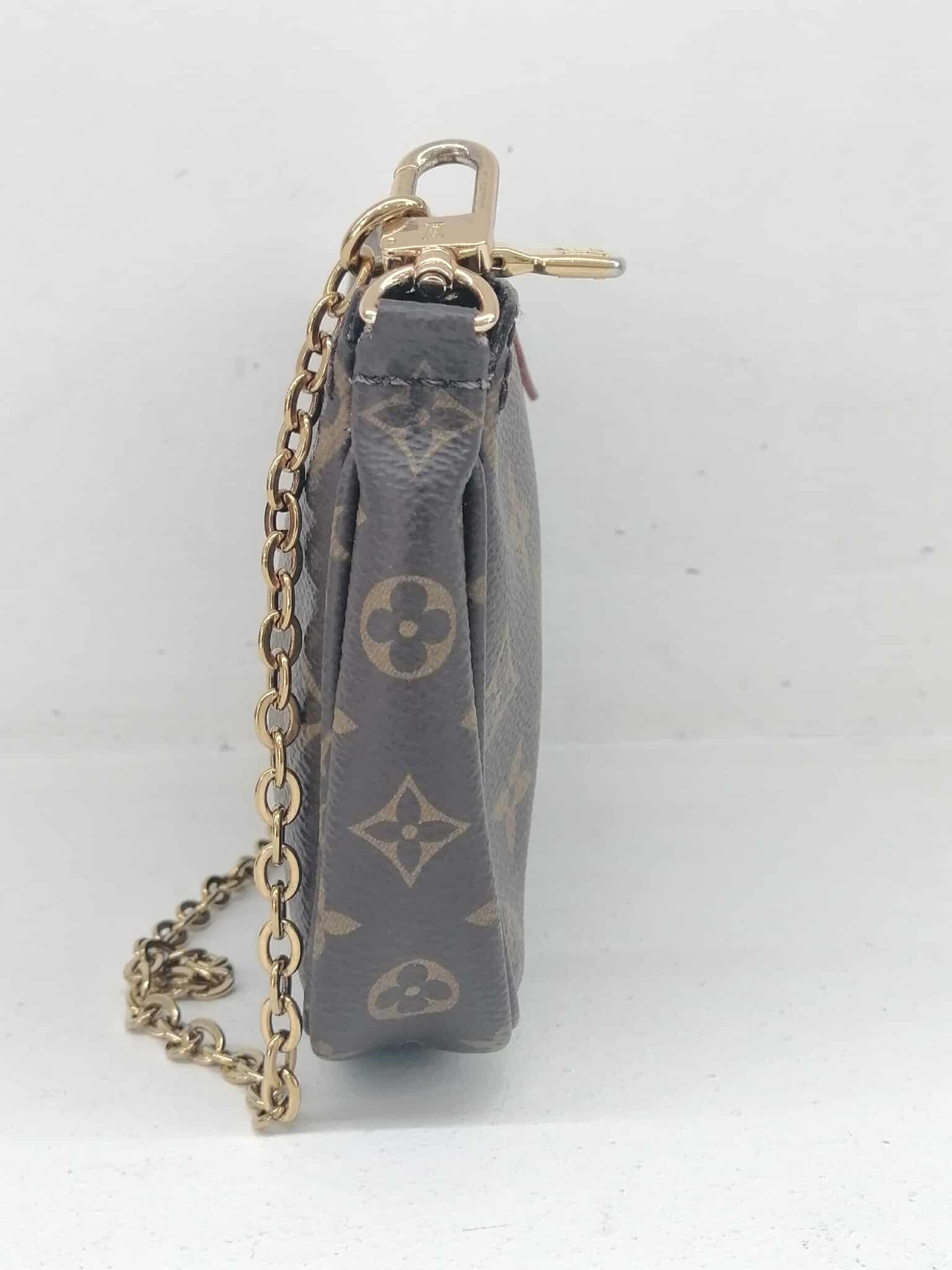 Louis Vuitton Multi Pochette Accessoires