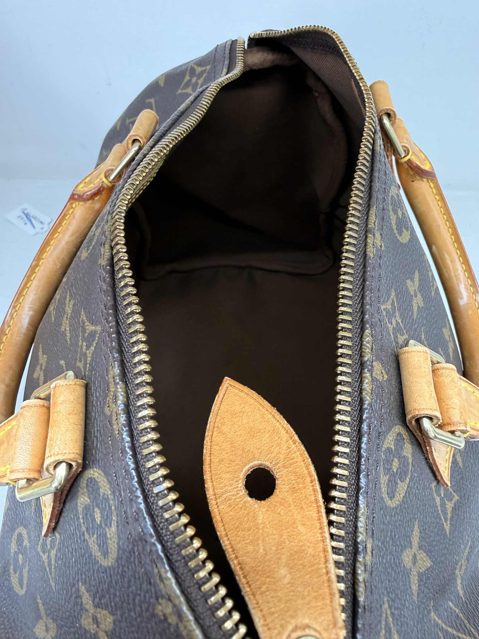 LOUIS VUITTON SPEEDY 30 Mono