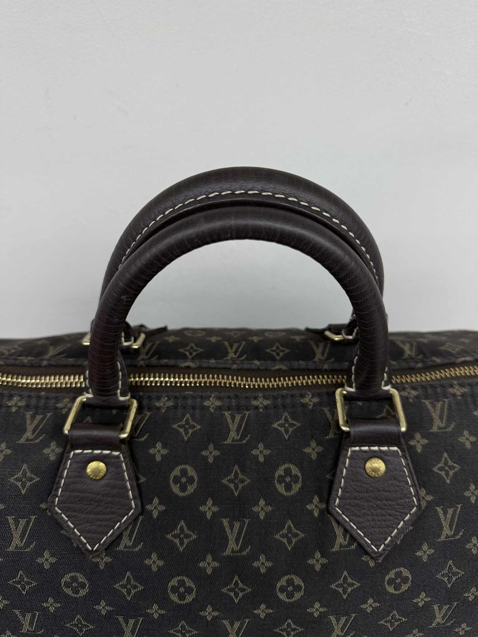 Louis Vuitton SPEEDY 30 MINI LIN