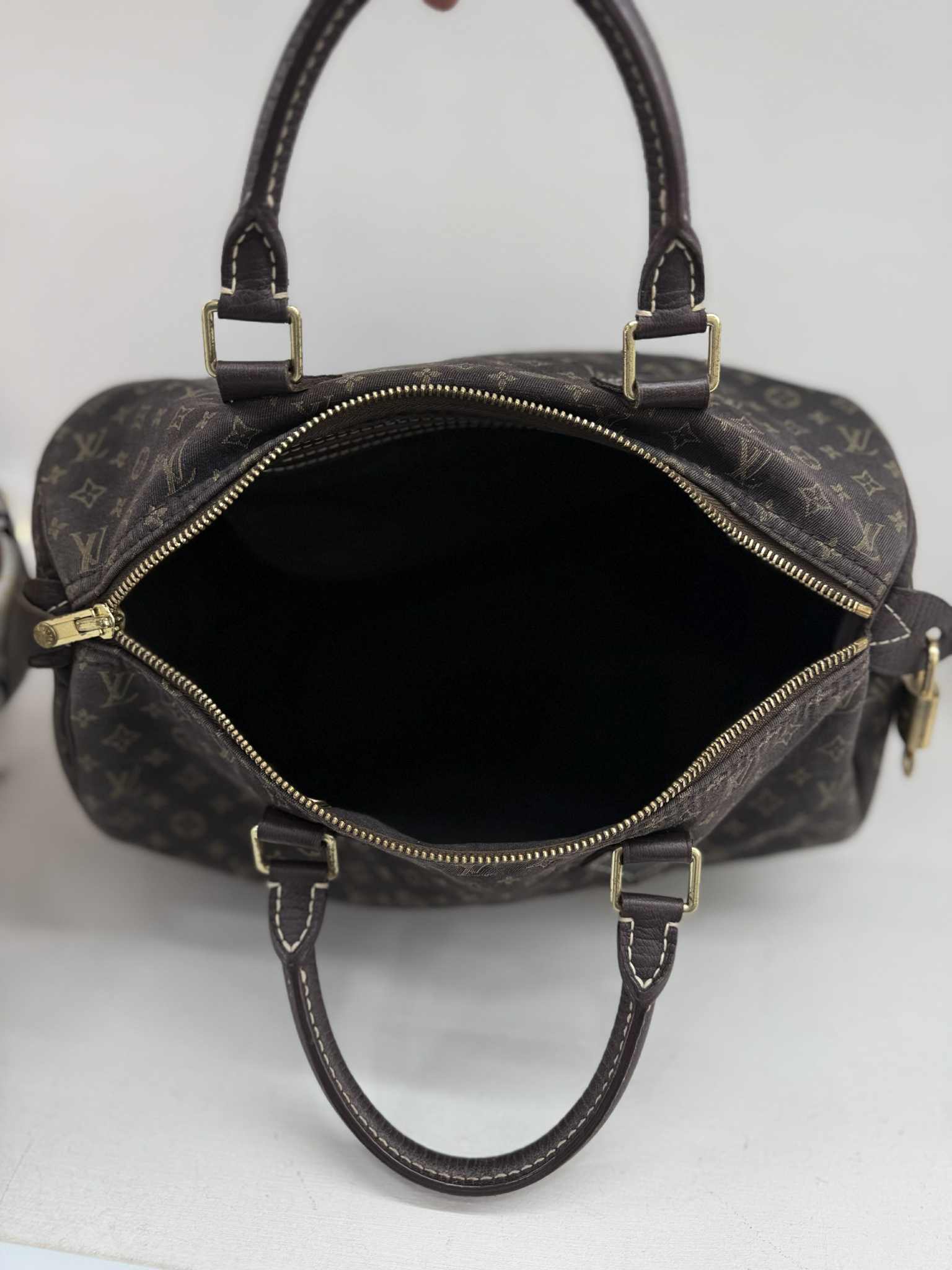 Louis Vuitton SPEEDY 30 MINI LIN