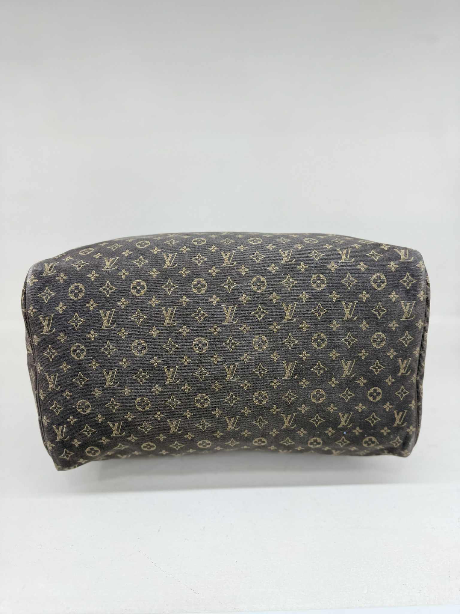 Louis Vuitton SPEEDY 30 MINI LIN