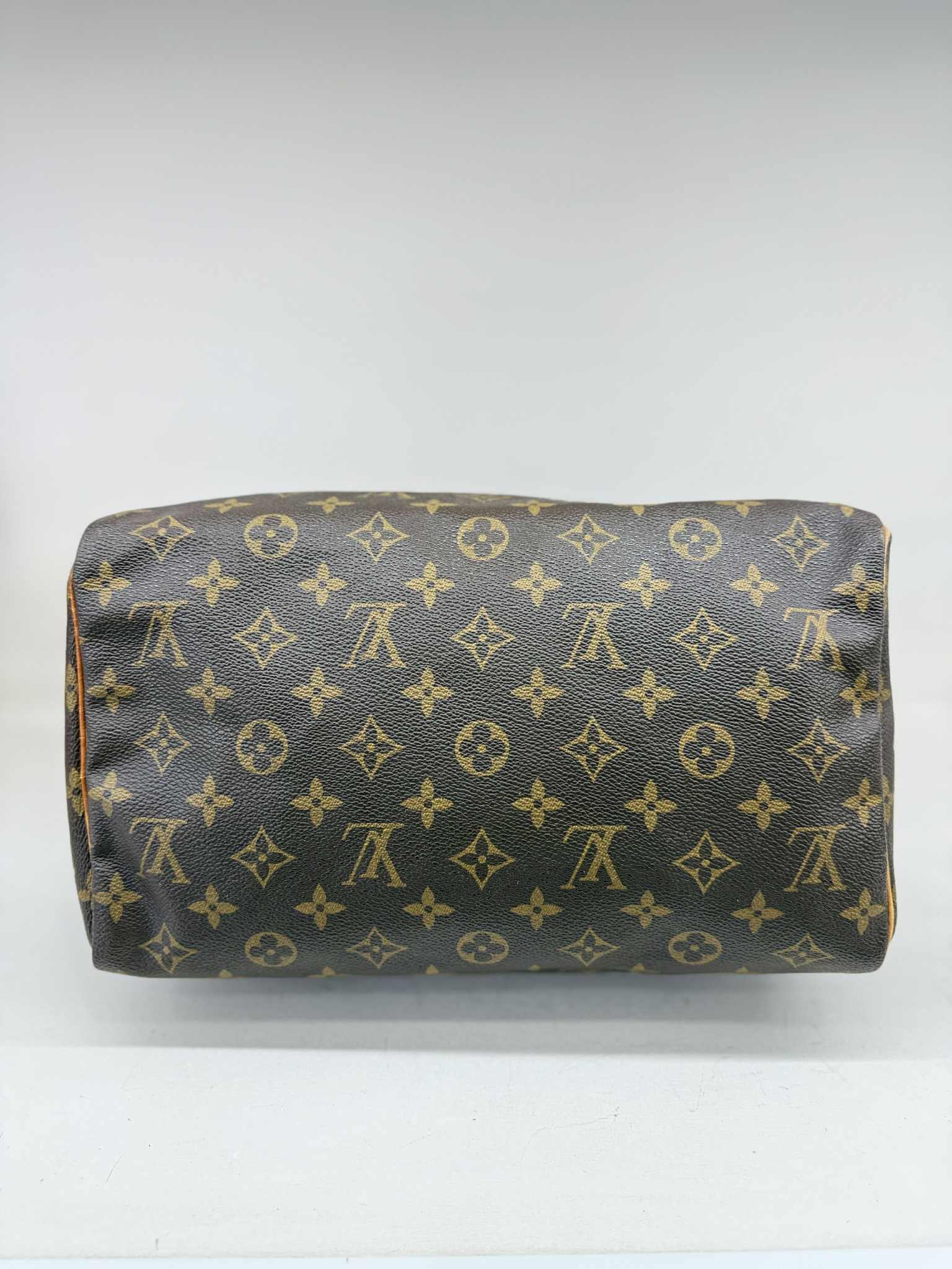 LOUIS VUITTON SPEEDY 30 Mono