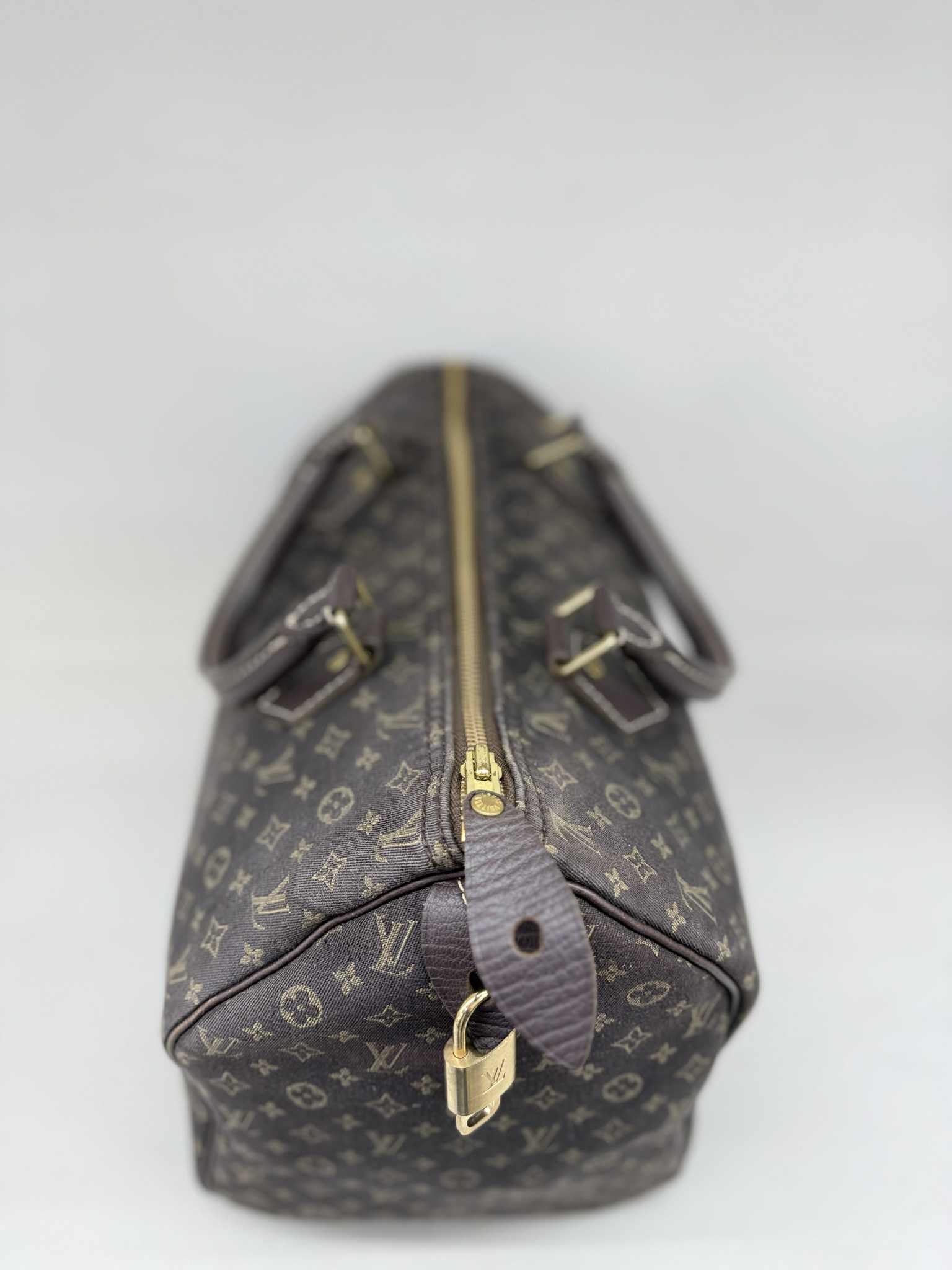 Louis Vuitton SPEEDY 30 MINI LIN