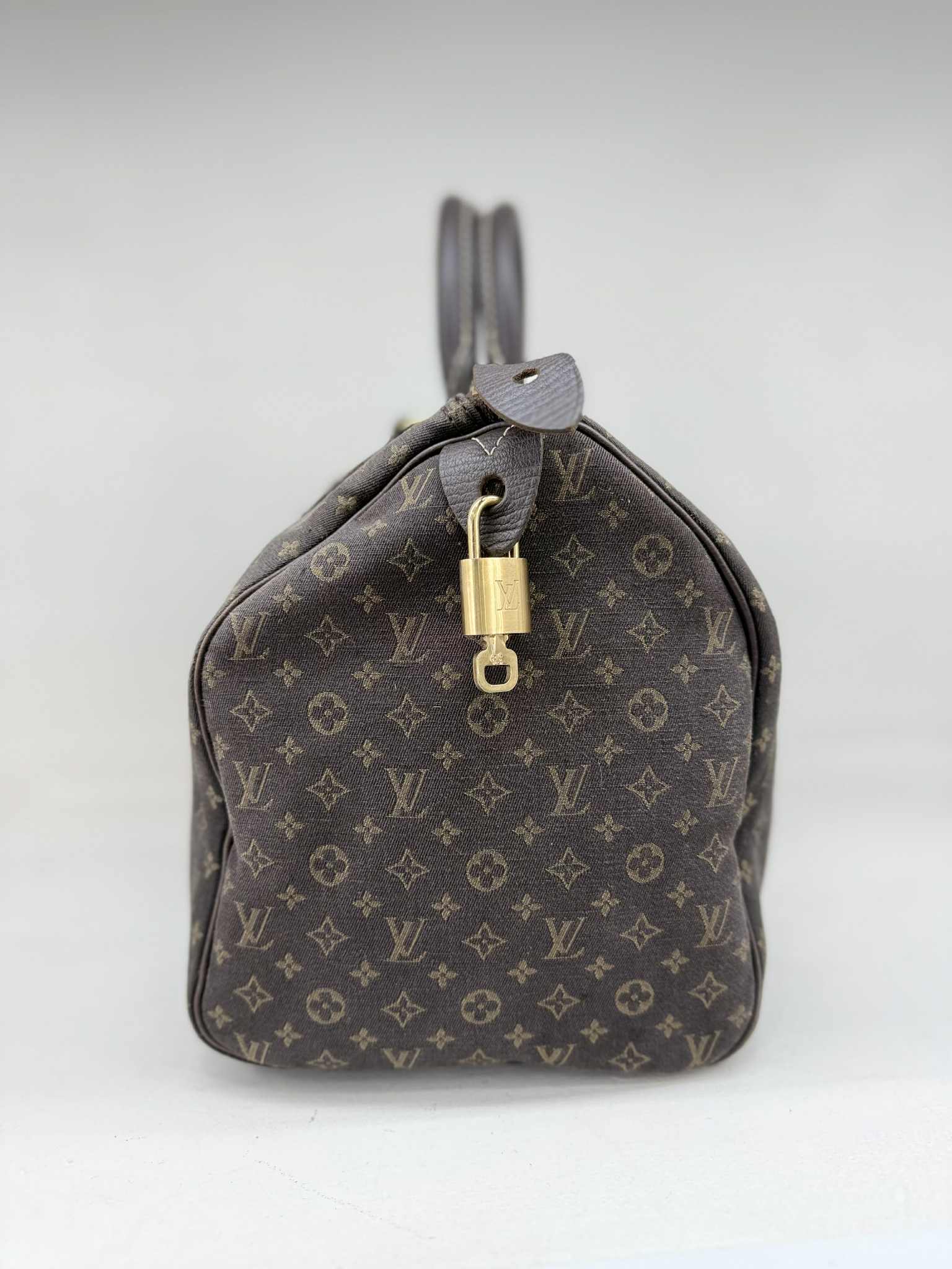 Louis Vuitton SPEEDY 30 MINI LIN