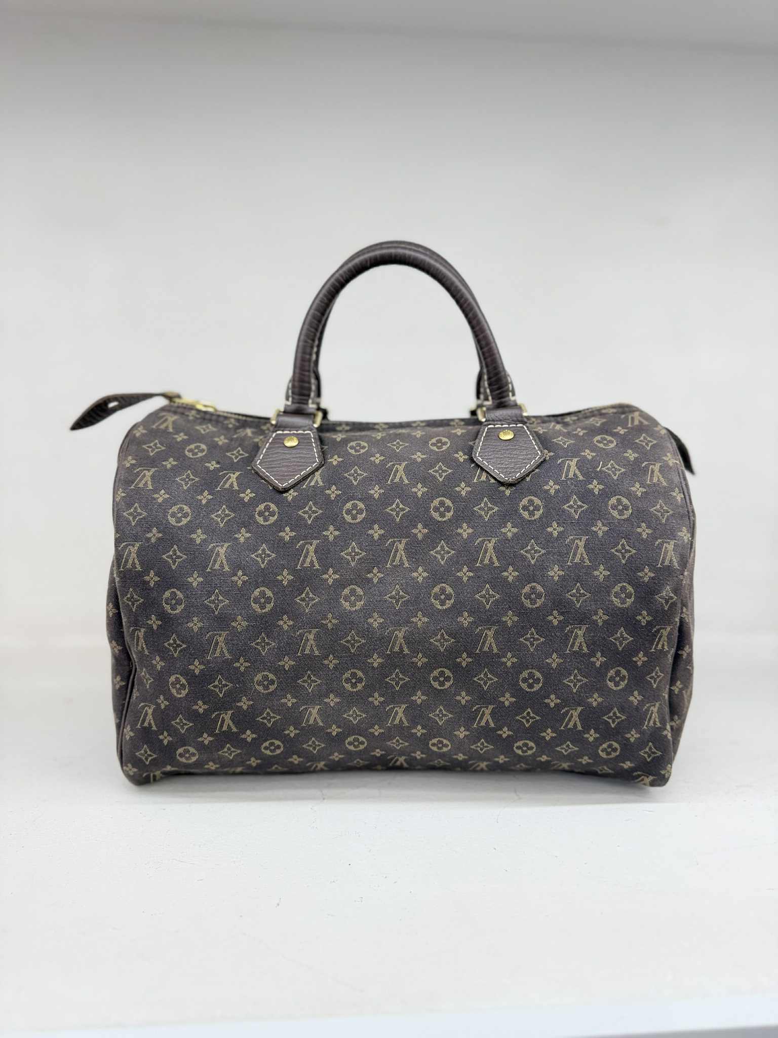 Louis Vuitton SPEEDY 30 MINI LIN