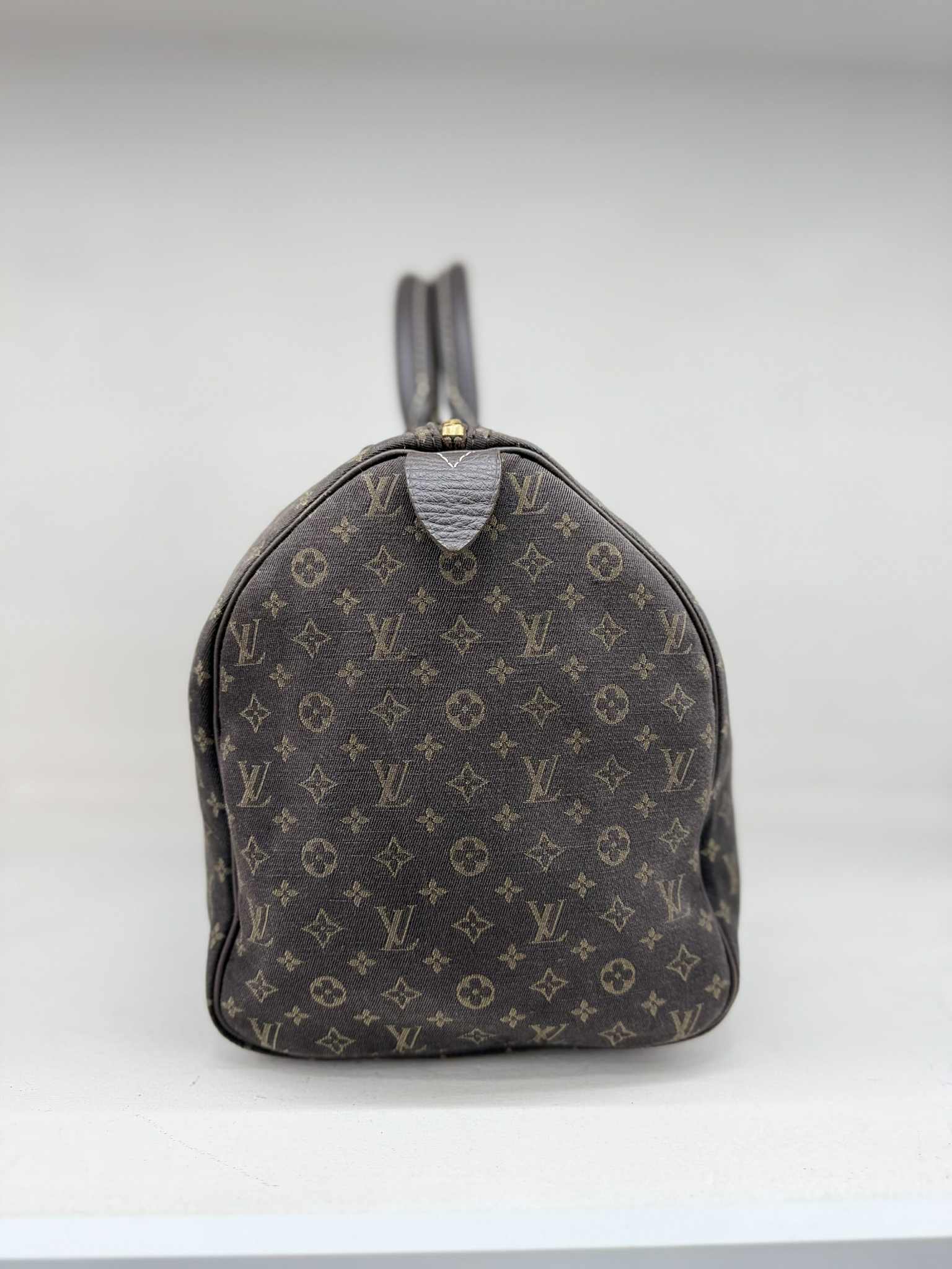 Louis Vuitton SPEEDY 30 MINI LIN