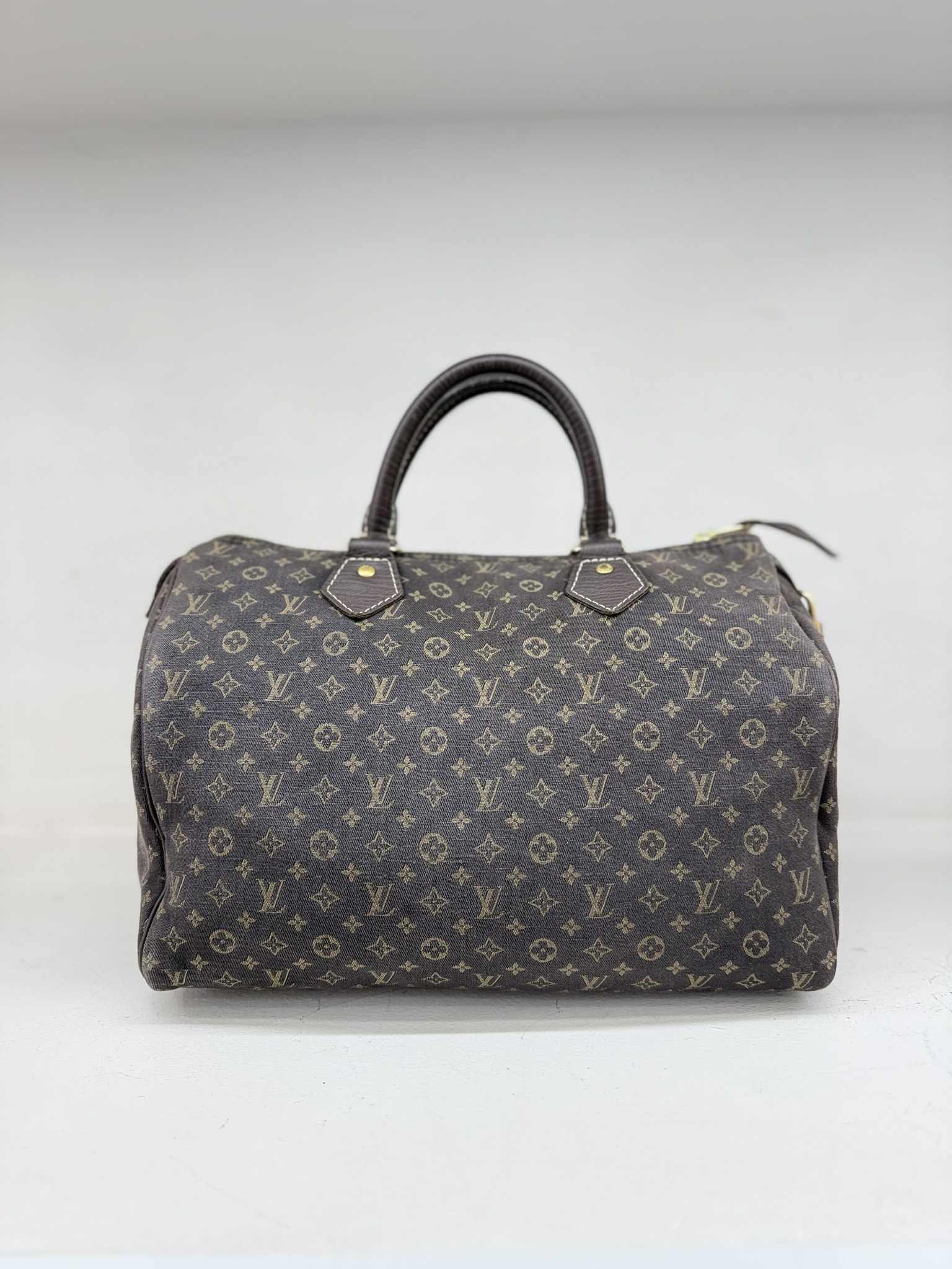Louis Vuitton SPEEDY 30 MINI LIN