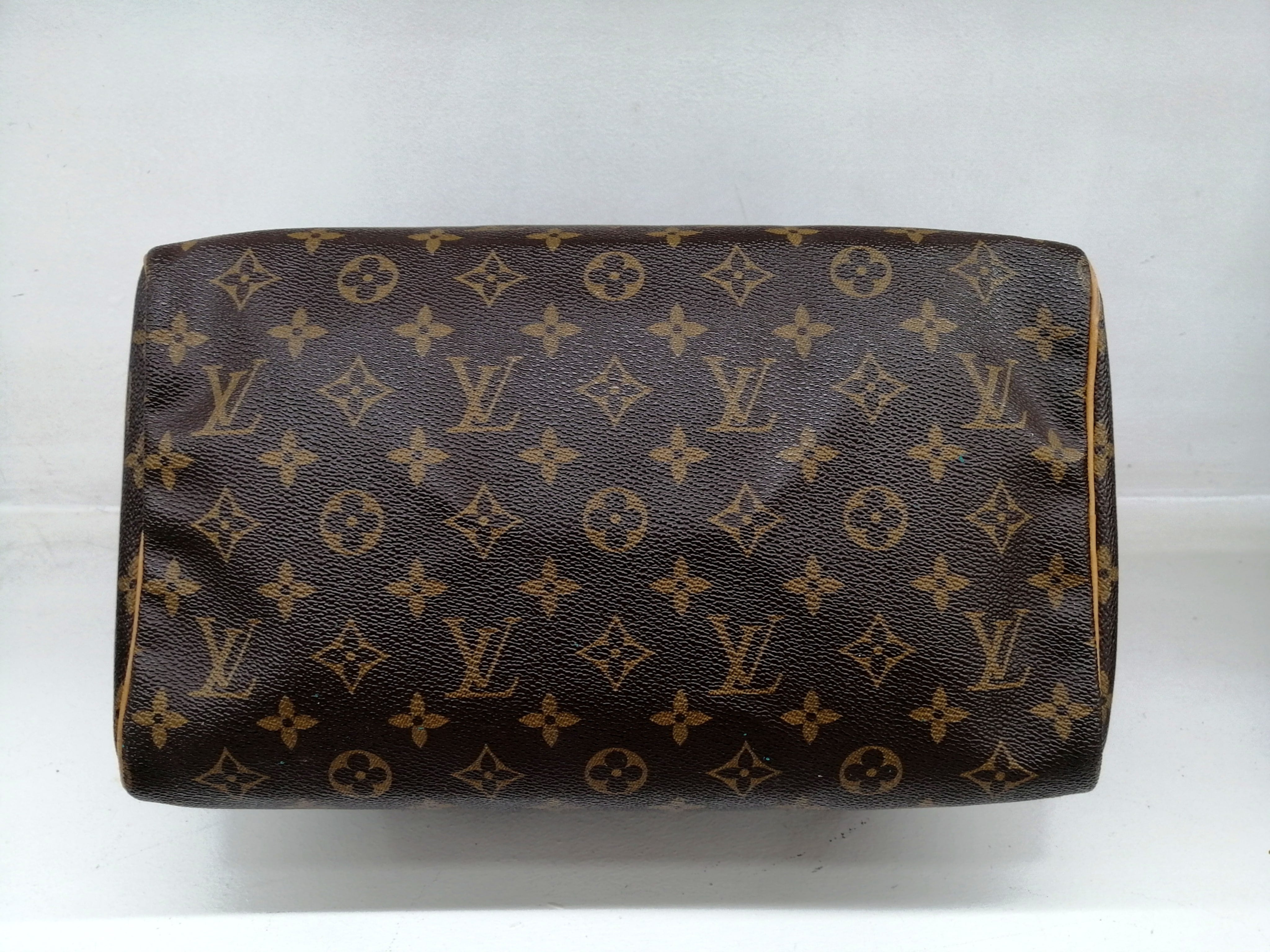 LOUIS VUITTON SPEEDY 30 MONO