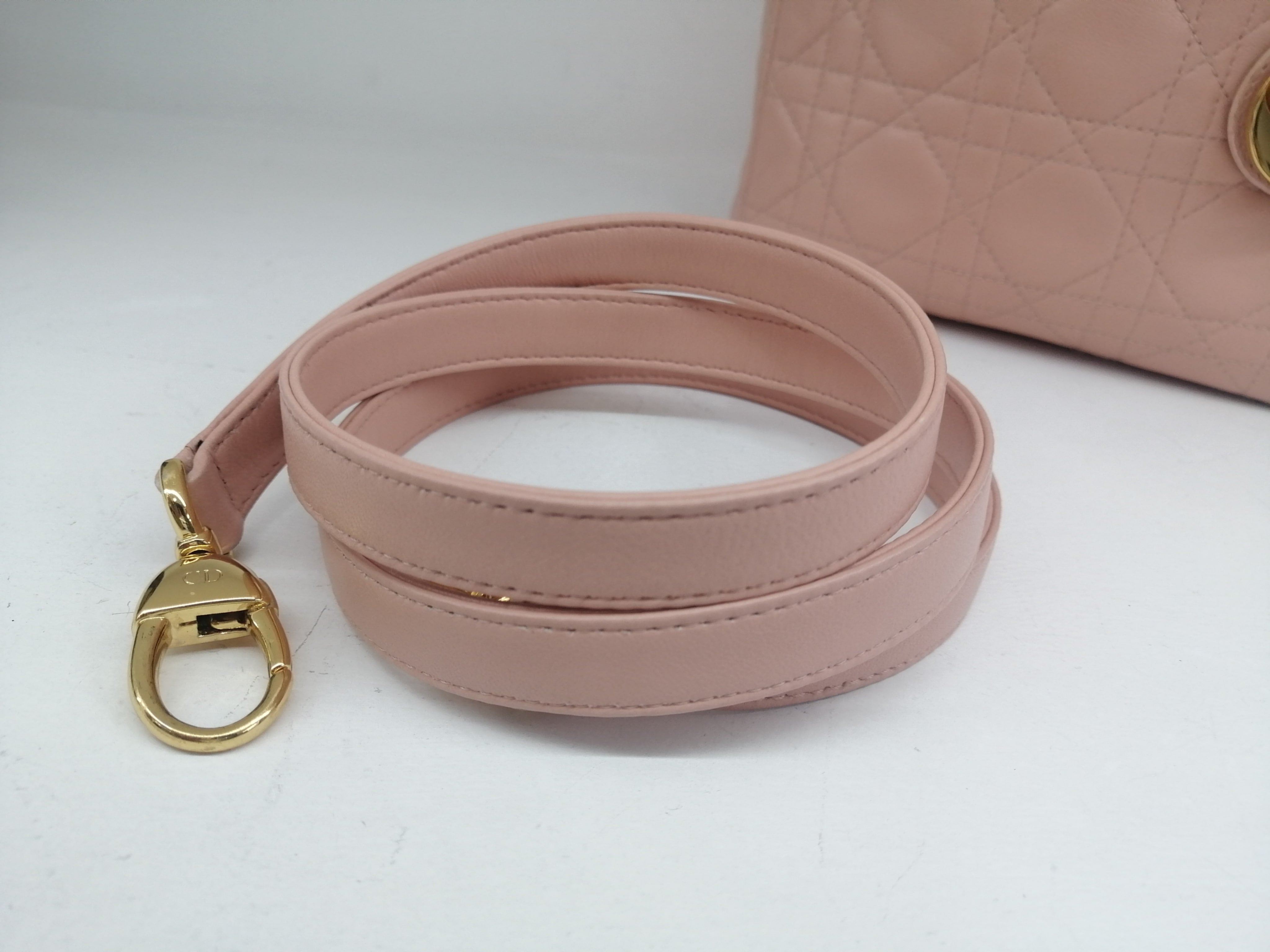 Christian Dior Lady Dior Mini