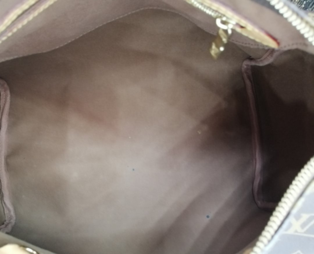 LOUIS VUITTON SPEEDY 30 MONO