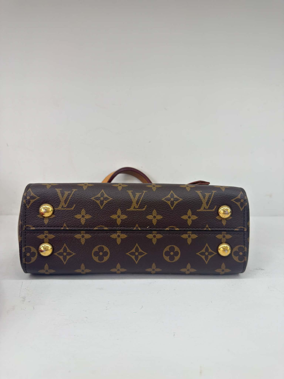 LOUIS VUITTON CLUNEY PM