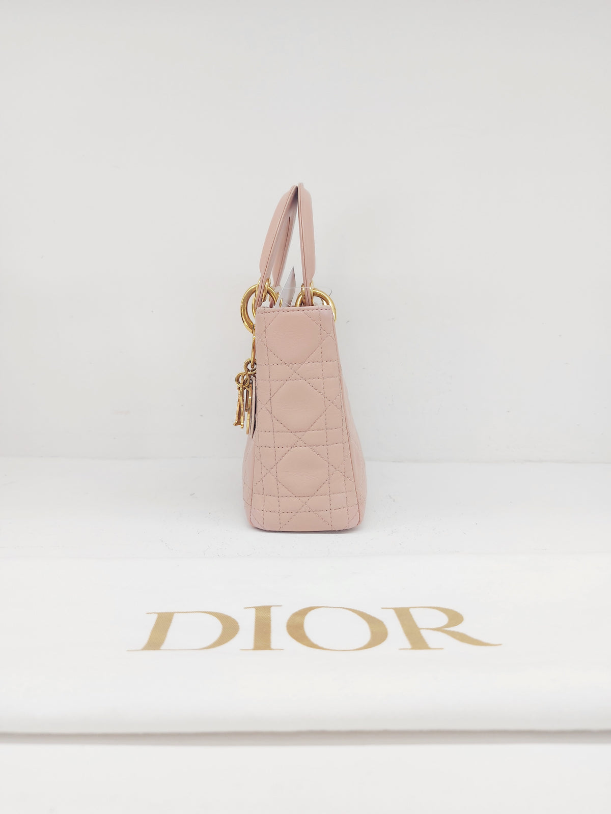 Christian Dior Lady Dior Mini